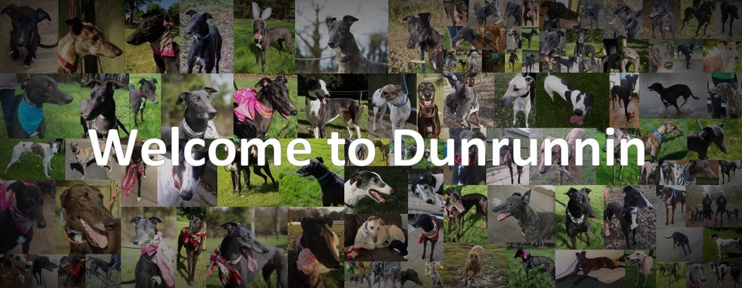 Welcome to Dunrunnin